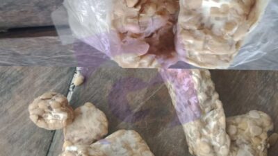 Viral,, Atasi Stunting  Dengan Tempe Busuk Bantuan Dari Pemerintah Desa Manalu Dolok Kec. Parmonangan