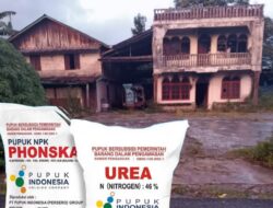 Diduga Menimbun Berkisar 60 Ton Pupuk Bersubsidi Untuk Menangkan Caleg Pada Pileg 2024