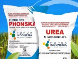 Polres Taput Amankan 4 Sak Pupuk Subsidi Terkait Dugaan Penimbunan Pupuk Di Sigotom