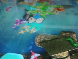 Bisnis Haram, Judi Berkedok Tembak Ikan Dan Togel Menjamur Di Siborong-borong Taput
