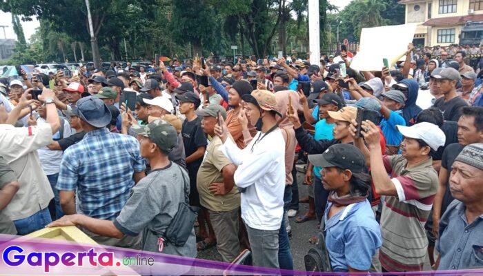 Petani Singkong Di Resahkan Oleh Harga Jual