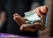 Lapor Pak Polri, Tangkap”W” Diduga Jual Narkotik Jenis Sabu di Desa Janji Kecematan Bilah Barat Kabupaten Labuhanbatu