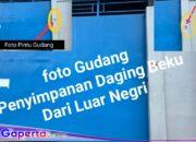 Daging Beku Ilegal Asal Malaysia Membanjiri Pontianak: Warga Desak Penindakan Tegas Negara Jagan Kalah