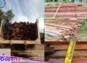 Keberhasilan  Tim Dirkrimsus Polda Kalbar Amankan Ribuan Batang Kayu Illegal, di Pertanyakan  Publik