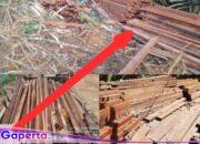 Penemuan Ribuan Batang Kayu Tidak Bertuan Menjadi Pertanyaan Publik, Mabes Polri di Minta Turun Tangan