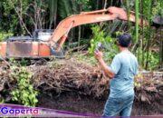 Penegak Hukum di Minta Segera Lakukan Penindakan Tegas Soal Kasus Perusakan Mangrove