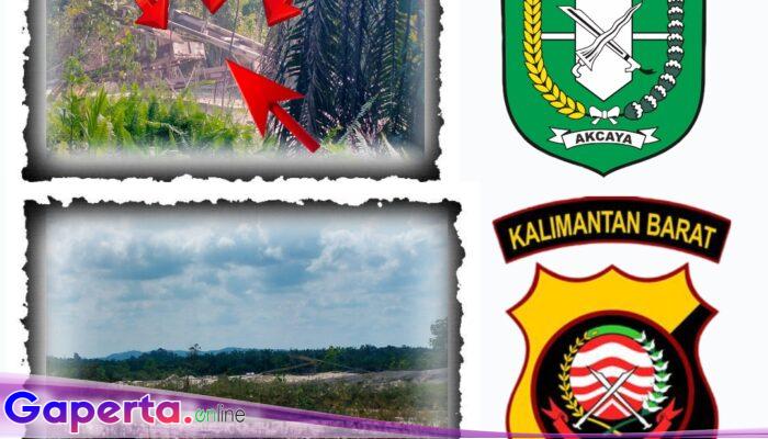 Dugaan Penyalahgunaan BBM Subsidi untuk Tambang Ilegal di Sekadau, Negara Dirugikan!