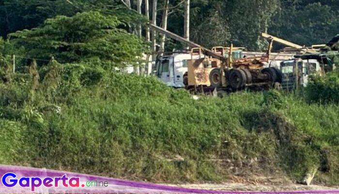 Gakkum kehutanan Kalbar Dituding Tajam ke Bawah, Tumpul ke Atas