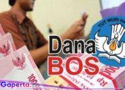 Aliansi Masyarakat Meminta APH Telusuri Perincian Aliran Dana Bos SMAN I Halongonan Anggaran Tahun 2023