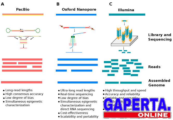 Penerapan Long-Read Sequencing pada Kanker