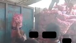 Distribusi Bawang Ilegal di Kubu Raya Nyaris Tanpa Hambatan