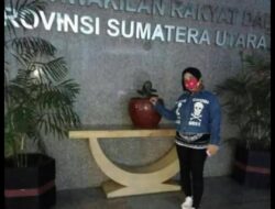 Temuan BPK RI “Berulang Tahun” Belum Di Tindak Lanjuti, Aktifis sumatra utara Ini Minta BK DPRD Kota Medan Panggil Sekwan