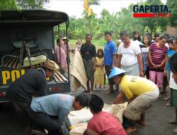 “Penemuan Mayat Perempuan di Sungai Cimanuk, Indramayu”