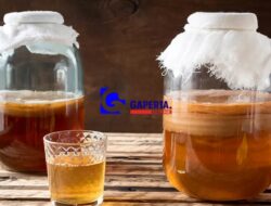 Kombucha: Rahasia Kesehatan dalam Gelas Fermentasi