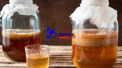 Kombucha: Rahasia Kesehatan dalam Gelas Fermentasi