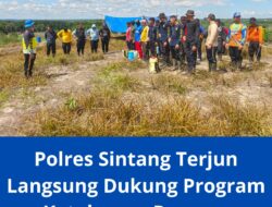Personel Polres Sintang Terjun Langsung Dukung Program Ketahanan Pangan dengan Penanaman Jagung