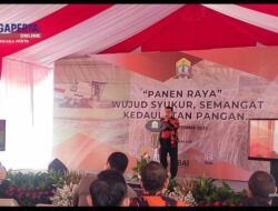 Pemuda Pancasila Banten Sukses Gelar Panen Raya Padi Bersama TNI dan Pemkot Serang: Wujud Ketahanan Pangan!