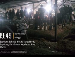 Penegak Hukum di Minta Bertindak Tegas, Terhadap Lokasi  Judi Sabung Ayam yang Telah Menghancurkan Ekonomi Masyarakat.