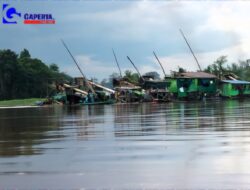 Investigasi: PETI di Nanga Biang Tetap Beroperasi, Aparat Belum Bertindak Tegas