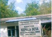 Pertanyaan Besar di Balik Penyaluran Dana Desa Perk halimbe: Item Belanja Serupa dengan Nilai Berulang