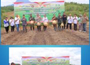Polres Sintang Sukseskan Asta Cita Ketahanan Pangan dengan Penanaman Jagung Kuartal IV