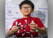 “Theodore Kwan: Bocah 7 Tahun Asal Singapura Gemparkan Dunia dengan Kuliah Kimia di NTU”
