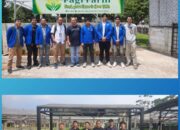 Tanam Harapan di Tengah Beton: UPER Hadirkan Urban Farming yang Ramah Lingkungan