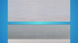 Peti Ilegal Sungai Kapuas: Investigasi Media Non-Blok Buktikan Hoaks Lanting Emas