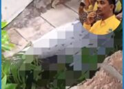 Eks Ketua DPRD Pasaman Tewas Tertimpa Alat Berat Saat Antar Bantuan Bencana